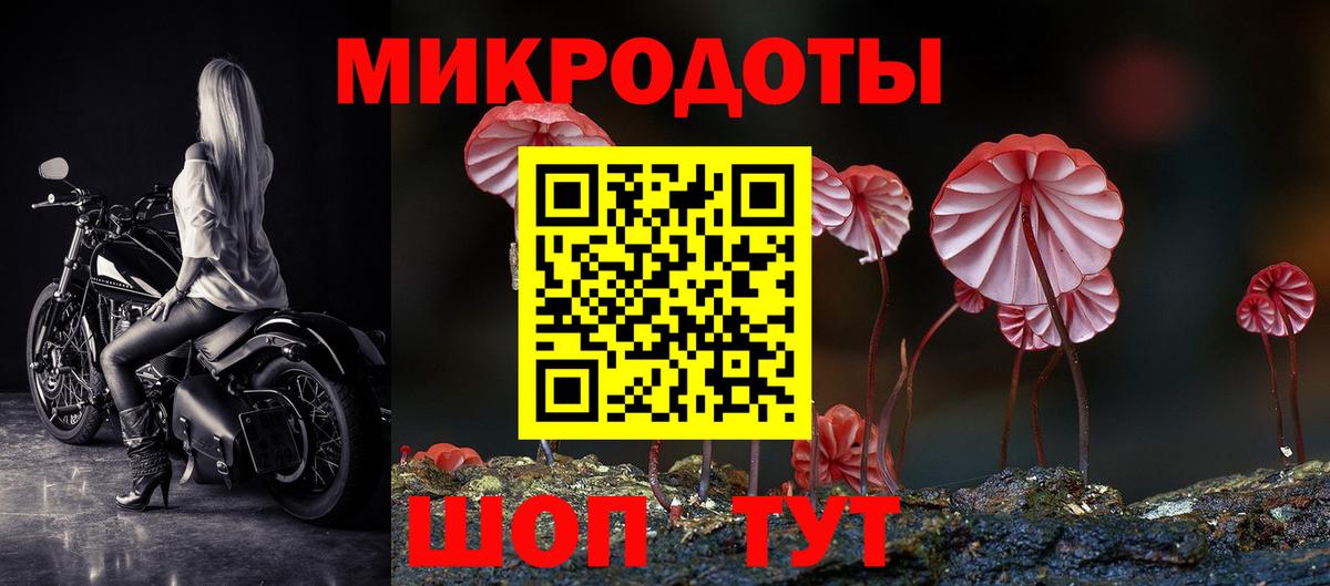 Псилоцибиновые грибы GOLDEN TEACHER  Вход с VPN  Ленинск-Кузнецкий 